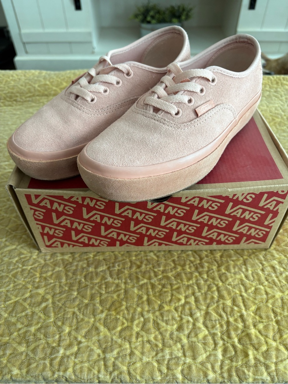 Vans suede shoes